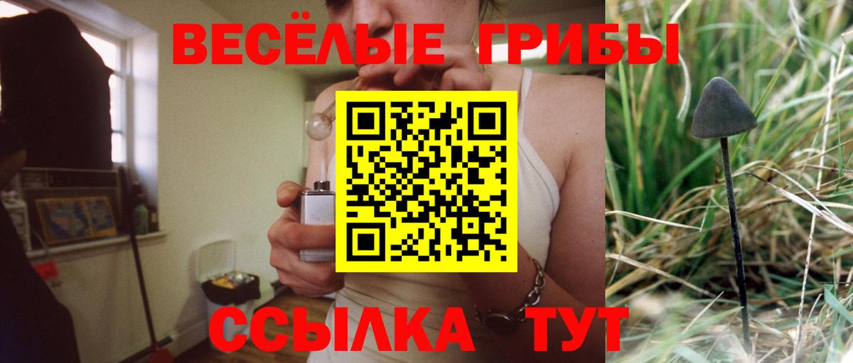 Псилоцибиновые грибы MAGIC MUSHROOMS  что такое наркотик  Кудымкар  Вход с VPN 